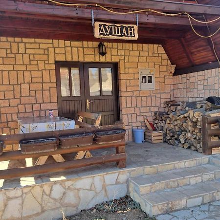 Planinska Kuca Dusan Mitrovac Exteriér fotografie