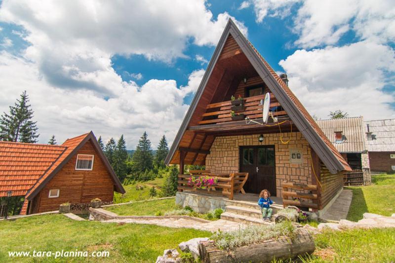 Planinska Kuca Dusan Mitrovac Exteriér fotografie