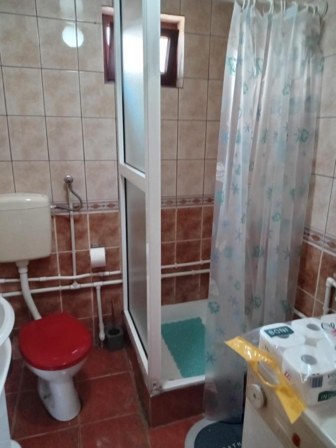 Planinska Kuca Dusan Mitrovac Exteriér fotografie