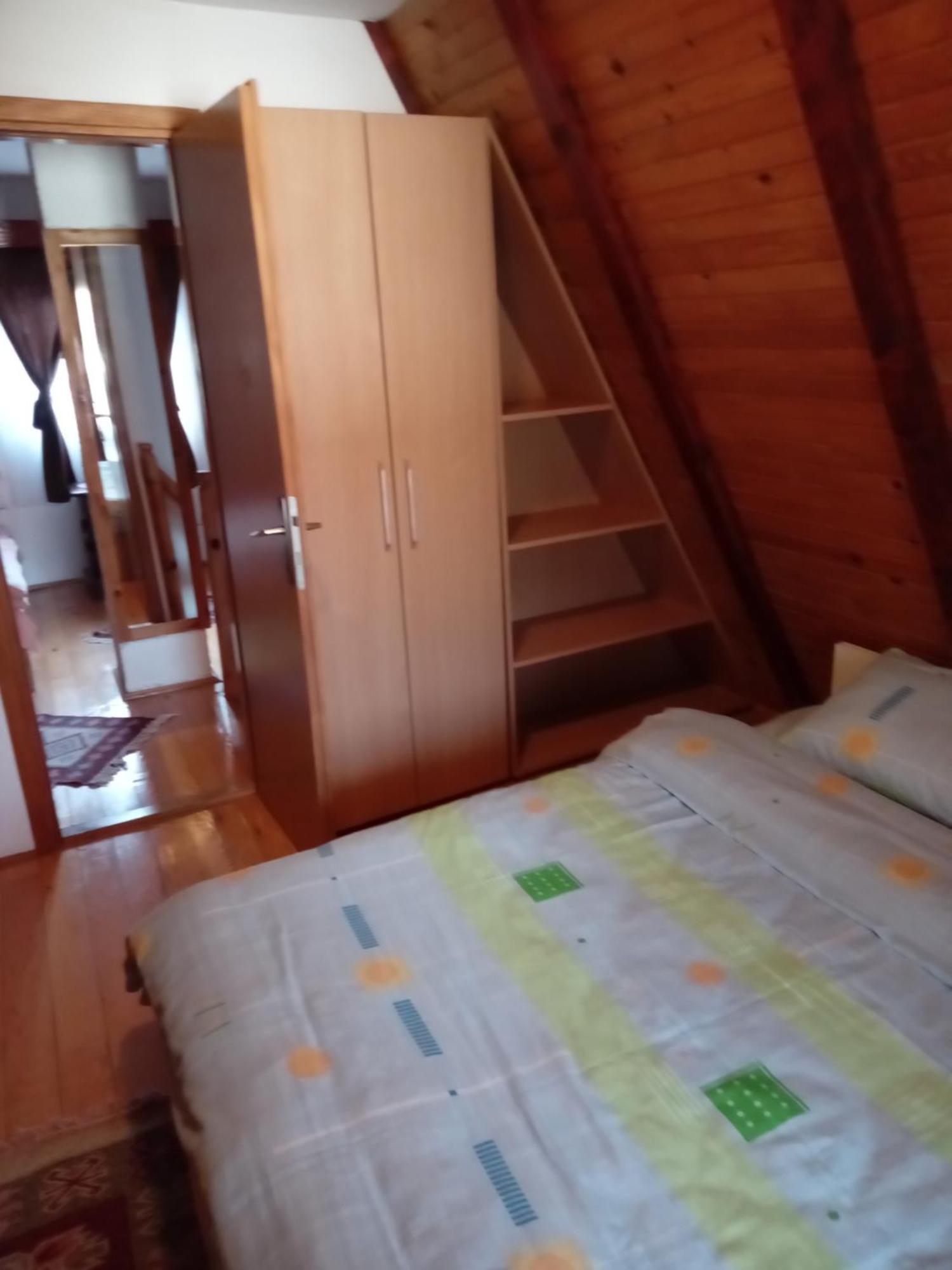 Planinska Kuca Dusan Mitrovac Exteriér fotografie