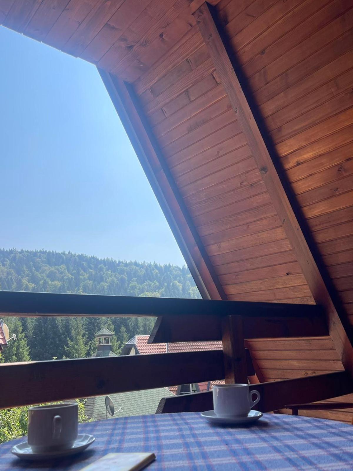 Planinska Kuca Dusan Mitrovac Exteriér fotografie